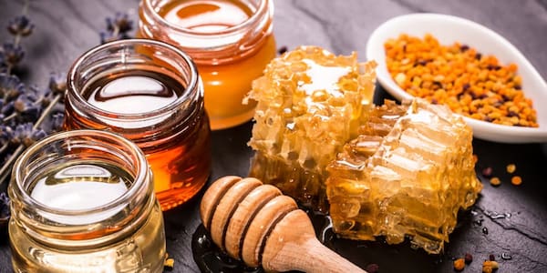 قیمت خرید عسل گون خالص + فروش ویژه